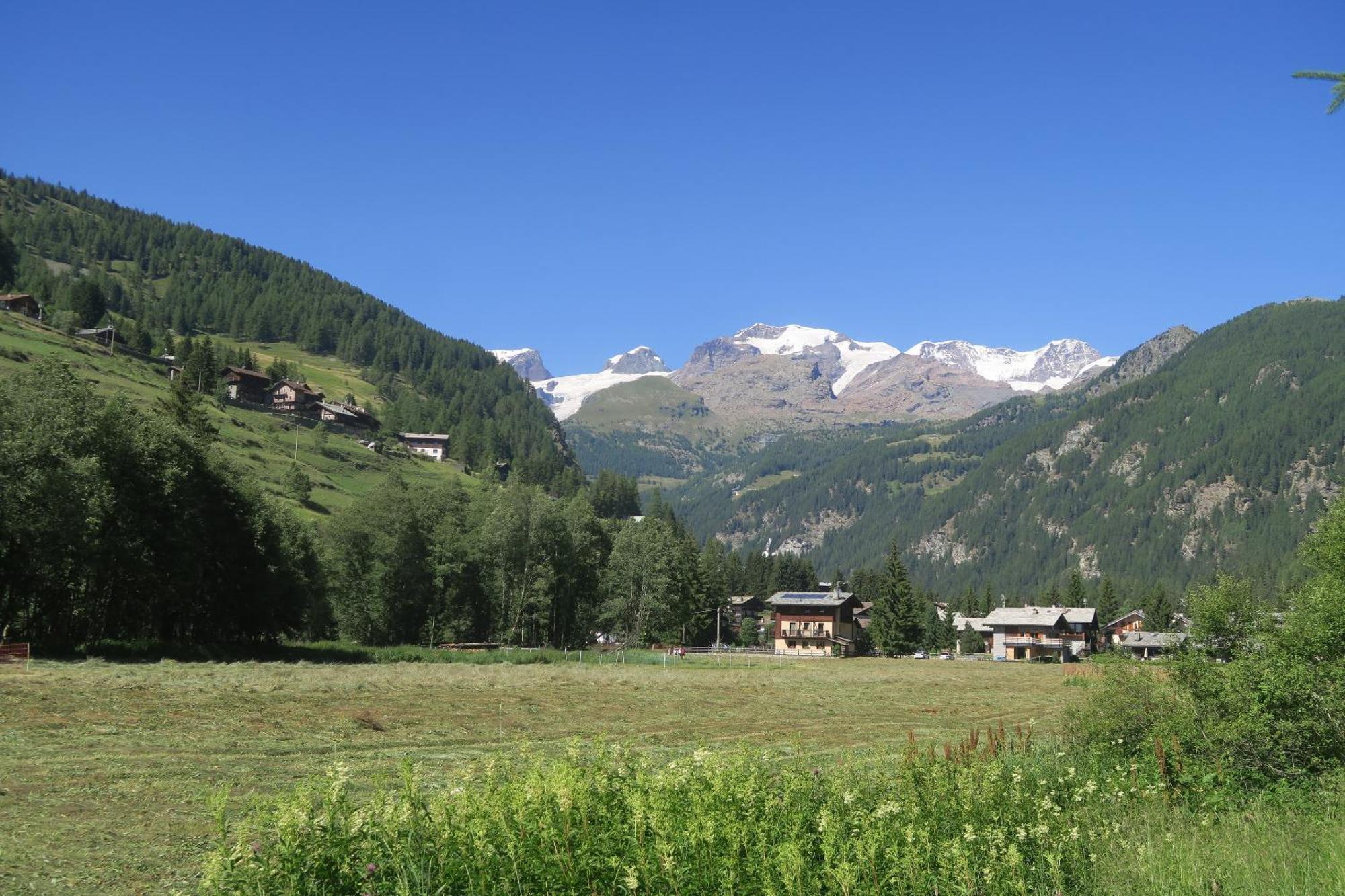 Le Vieux Rascard Chambres D'Hotes Champoluc Eksteriør billede
